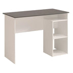 مكتب أبيض ورمادي - ١٠٠ × ٥٠ × ٨٠ سم | DE12