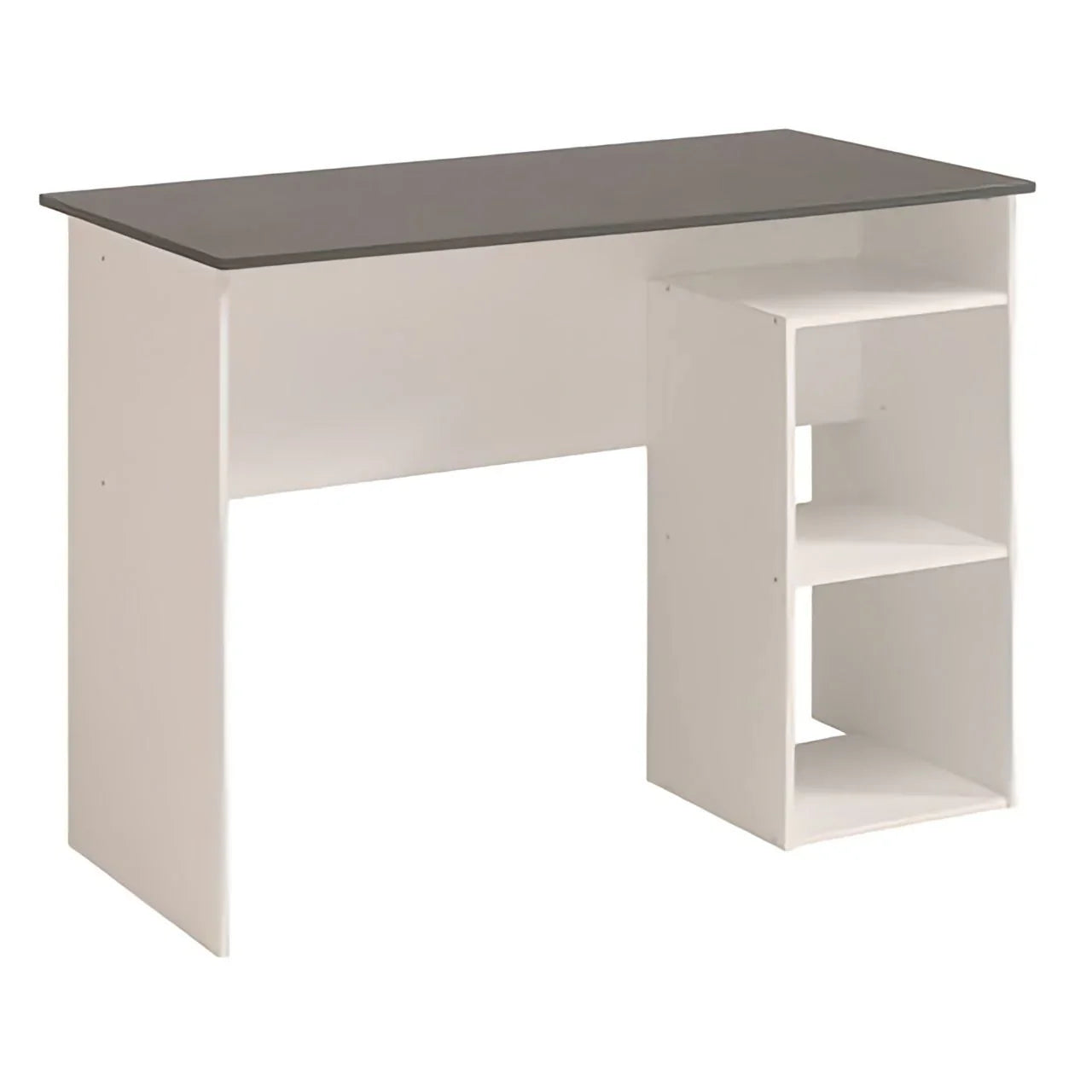 مكتب أبيض ورمادي - ١٠٠ × ٥٠ × ٨٠ سم | DE12