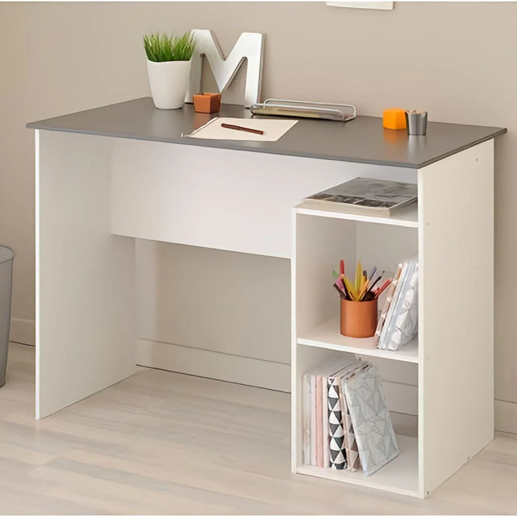 مكتب أبيض ورمادي - ١٠٠ × ٥٠ × ٨٠ سم | DE12